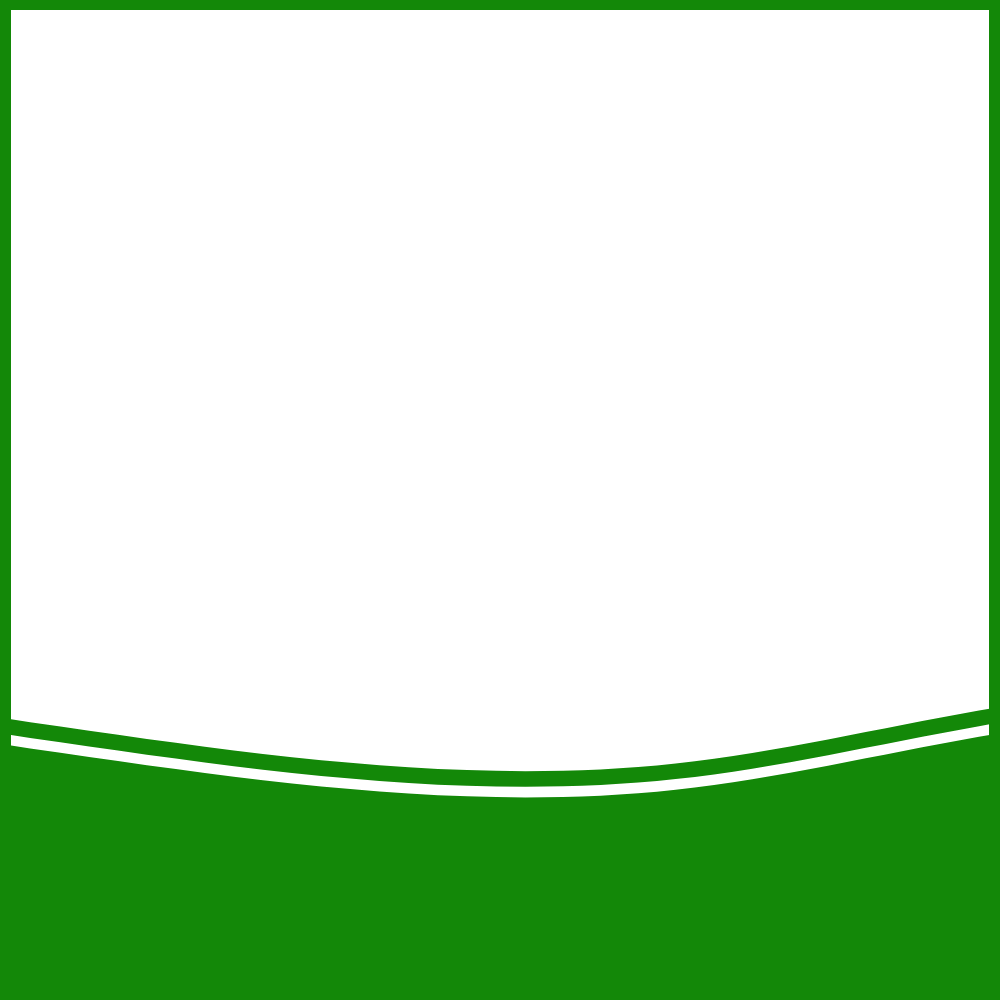 Footer Image